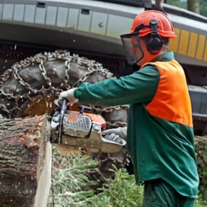 Programa de Formación Forestal